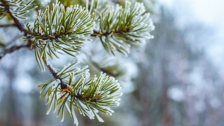 Informare meteo de vreme rea până joi dimineaţă! Ger,  brumă, ploi și ninsori –  Constanţa şi alte judeţe, sub cod galben! HARTĂ