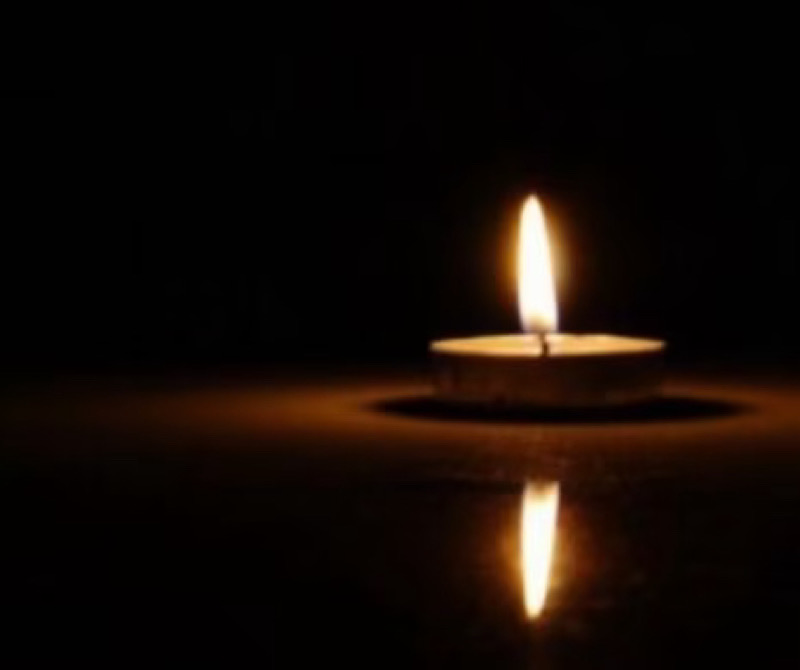 In memoriam prof. univ. dr. Carmen Cristescu