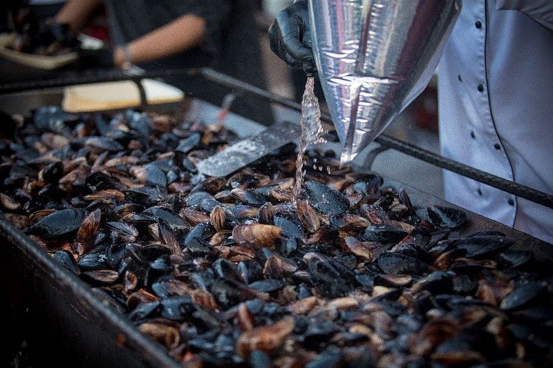 Festivalul Scoicilor din Constanța, un festival inedit pentru iubitorii fructelor de mare
