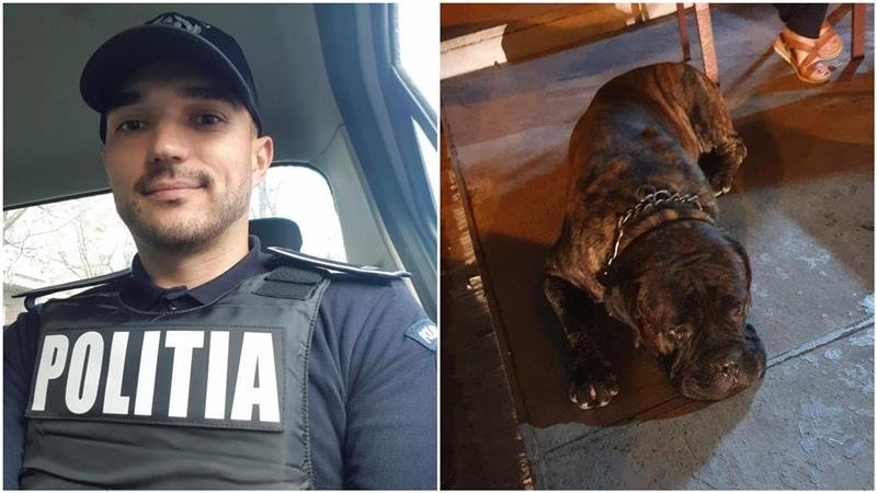 Apel la 112 după ce un câine stătea în fața unui restaurant din Constanța. Un polițist a reușit să-l prindă și să-i găsească stăpânul, care a fost amendat