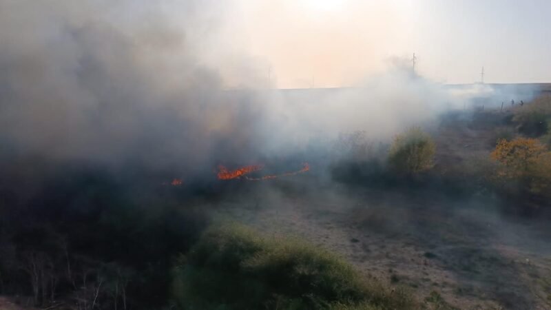 (VIDEO) Incendiu de vegetație uscată în Medgidia. Flăcările s-au extins la trei barăci și un adăpost de animale