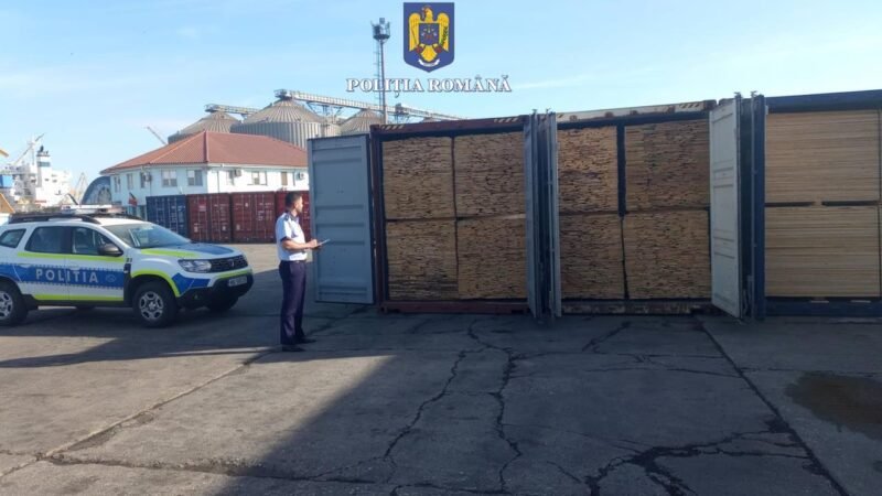 Dosar penal în urma unor controale în Portul Constanța: o firmă transporta mai mult lemn decât era declarat în actele vamale
