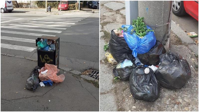 Depozitarea ilegală a deșeurilor pe domeniul public, sancționată de polițiștii locali constănțeni. Au fost aplicate 110 amenzi