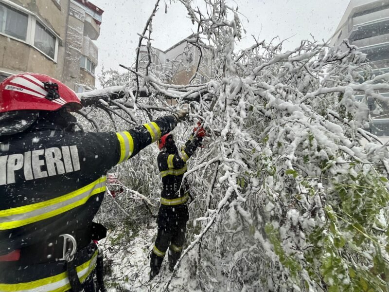 Codul roşu face ravagii şi în judeţul Tulcea. Maşini blocate în zăpadă, copaci doborâţi de vânt, zeci de localităţi nu au curent electric – drumuri naţionale şi judeţene, închise