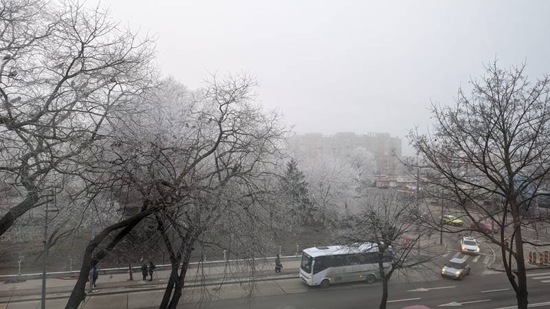 Județele Constanța și Tulcea, sub cod galben de ceață: vizibilitate sub 50 de metri