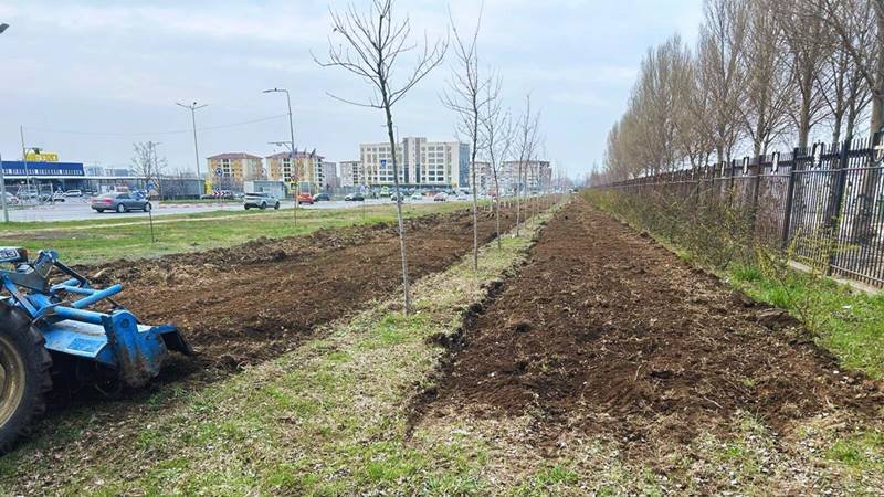 Primăria Constanța vă invită la o nouă acțiune de plantare a unei mini-păduri urbane