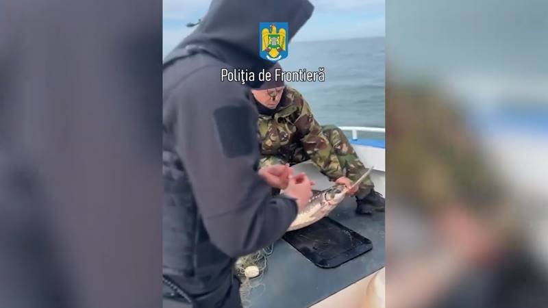 (VIDEO) 110 kilograme de pește și 700 de metri de plase descoperite de polițiștii de frontieră: șase exemplare de sturion au fost redate mediului natural