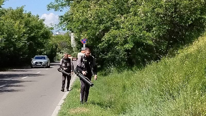 Acțiuni de dezinsecție, deratizare și aplicare tratamente fitosanitare în municipiul Constanța