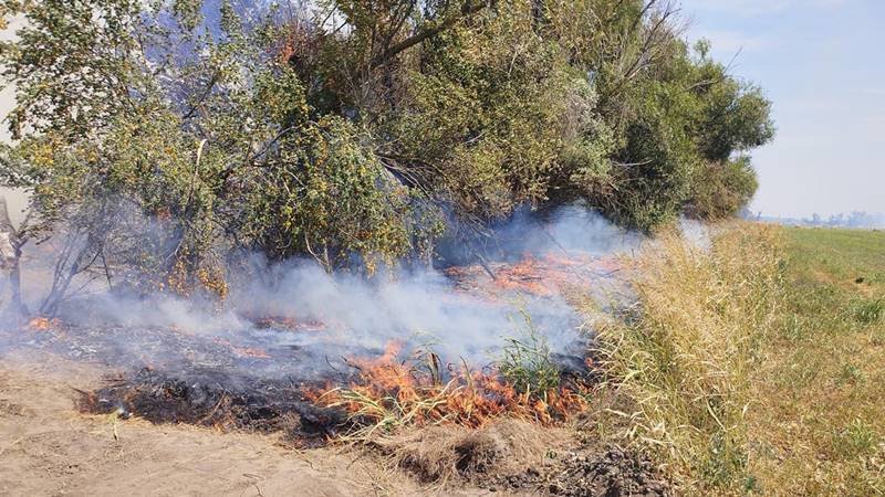 (VIDEO) Incendiu în Delta Dunării, în zona Ostrov Tatanir: au ars 100 de hectare de grâu și 400 de hectare de vegetație uscată