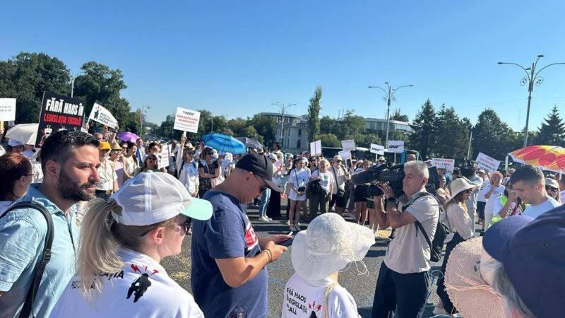 Stelian Ion: Trei exemple ale haosului creat de decizii ale premierului Ciolacu și care arată incompetența Guvernului
