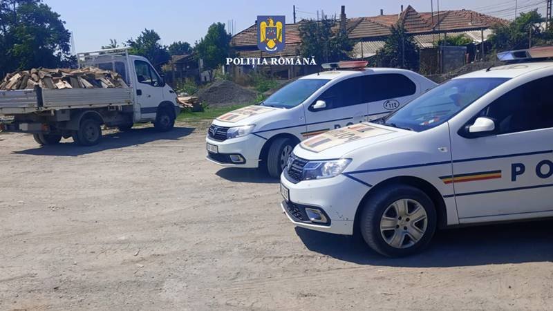 JUDEȚUL CONSTANȚA. Tânăr amendat cu 2.000 de lei pentru că transporta ilegal lemne