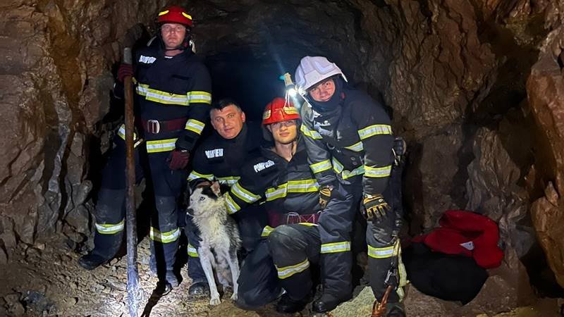 (FOTO/VIDEO) JUDEȚUL TULCEA. Pentru pompieri, fiecare viață contează: au salvat un câine căzut într-o groapă adâncă de 10 metri