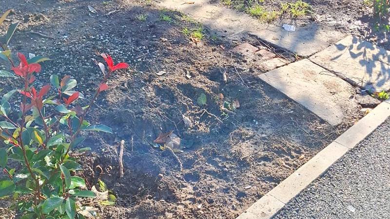 CONSTANȚA. Spațiile verzi recent amenajate au fost vandalizate