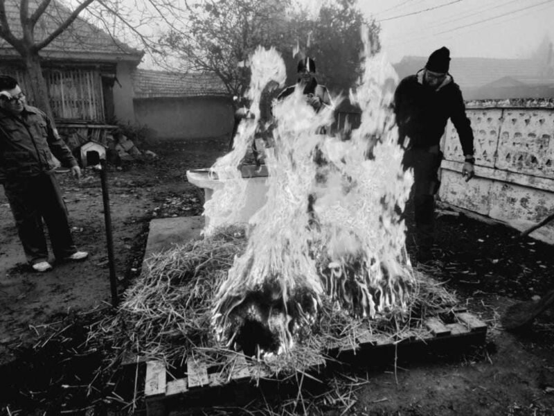 Muzeul de Artă Populară Constanţa, despre tradiţiile de Ignat: „Sărbătoarea populară se bucura de mare prețuire în satul tradițional”