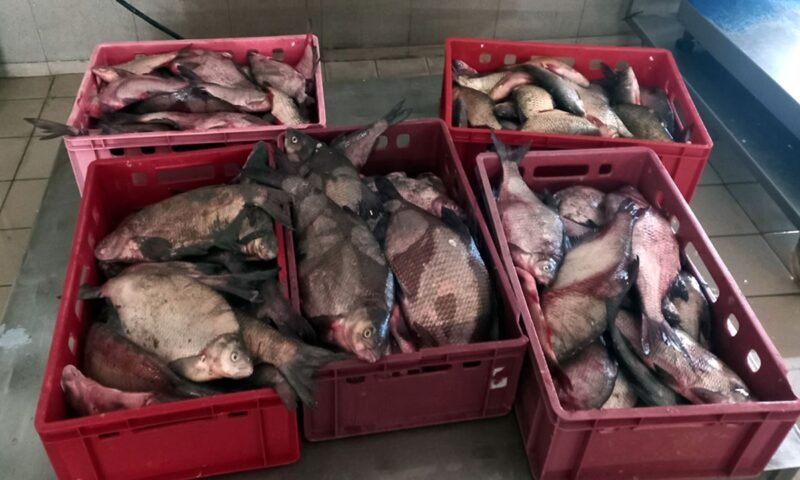 730 de metri de plase cu o captură de 177 kilograme de pește, descoperite în lacul Sinoe de către polițiștii tulceni