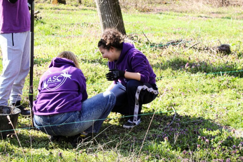 Studenții și Polaris, împreună pentru un viitor mai verde: 1.500 de puieți plantați la Comana. „Fiecare rădăcină prinsă de sol a fost un act de curaj și responsabilitate”