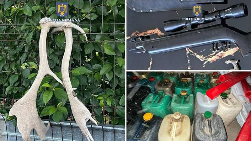 (FOTO) Percheziții în comunele Ciocârlia și Cobadin: polițiștii au găsit o armă, două coarne de cerb și 580 de litri de motorină