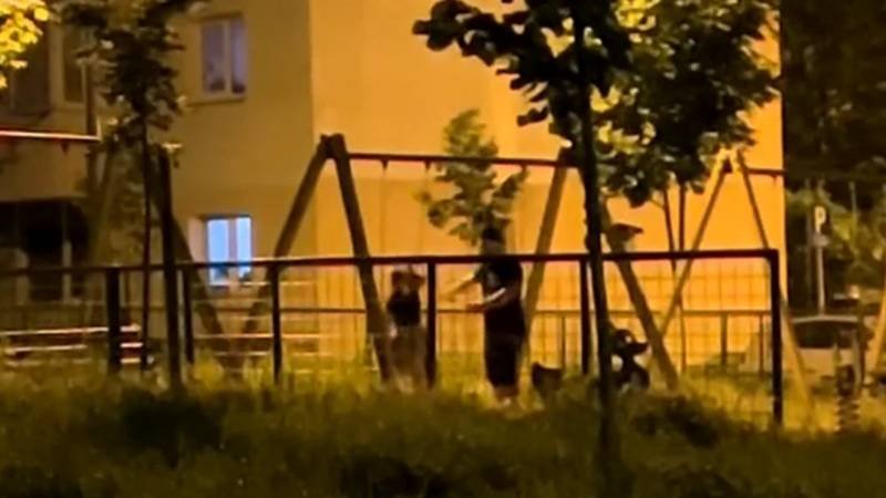(VIDEO) NAȚIONAL. Scene șocante într-un parc. Un bărbat și-a bătut soția, în timp ce copilul lor plângea în leagăn