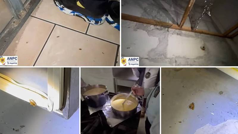 (FOTO/VIDEO) Restaurant din Mangalia închis temporar în urma unor controale ale ANPC. Mizerie de nedescris, gândaci și păianjeni printre nereguli: „Asta e bucătărie sau crematoriu?”