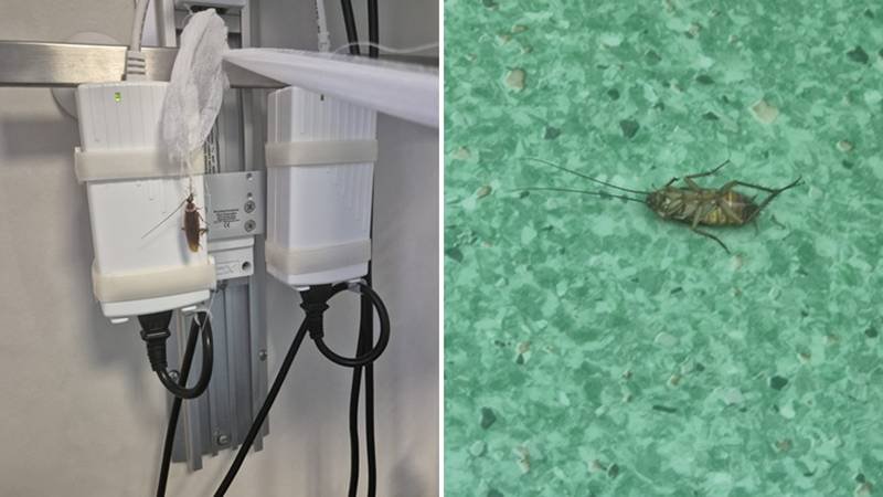 „Lagăr” în  Centrul de Arși al Spitalului Floreasca: pacientă cu arsuri grave și infectată cu bacterii, ignorată de medici. Ministerul Sănătății a dispus controale