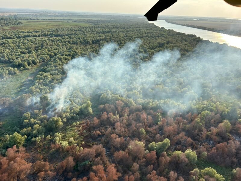 Incendiu de vegetaţie uscată, stuf şi fond forestier în localitatea Chilia Veche. Intervine și un elicopter Black Haw