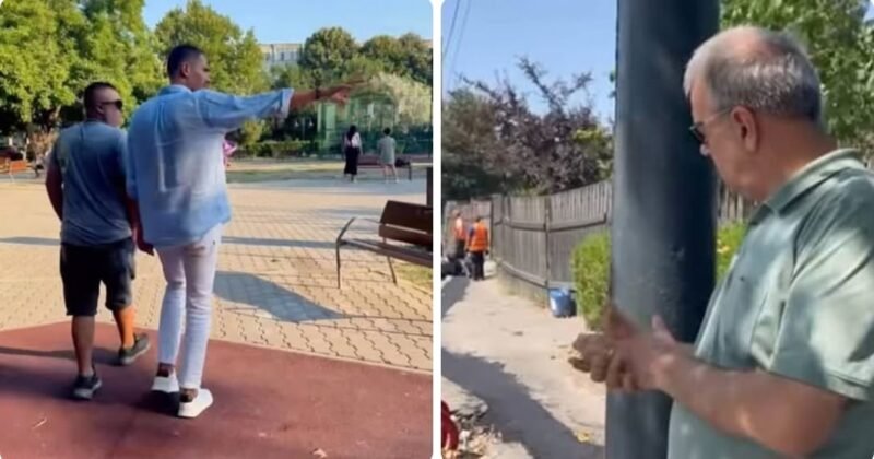 Ledul, glezna și lumina de la Soveja