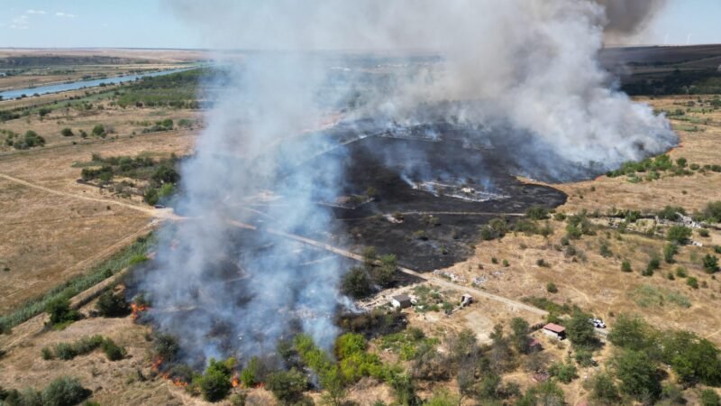 INCENDIUL DE LA MEDGIDIA. Au ars zeci de hectare, un bărbat a fost găsit carbonizat – pompierii au salvat 77 de animale!