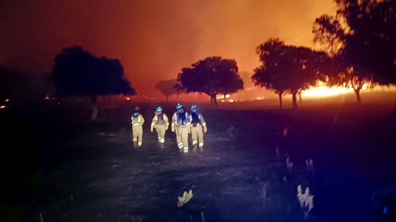 Un român a murit în incendiile de vegetație din Spania