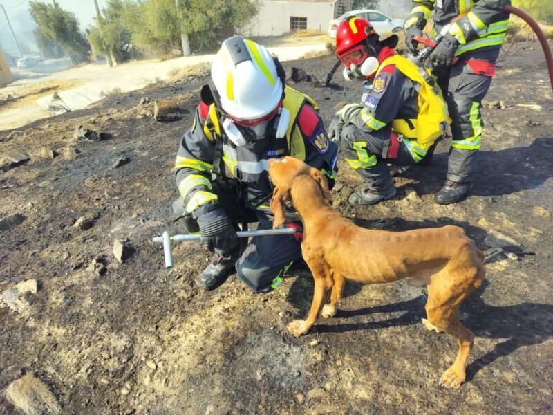 Pompierii români, în prima misiune de stingere a incendiilor din Grecia. Intervenție dificilă în Attica de Est