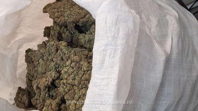 (FOTO) Aproximativ 22 de kilograme de canabis descoperite pe aeroportul Otopeni