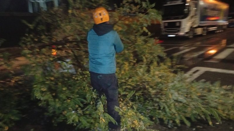 Vânt puternic și ploi abundente la Constanța: numerele de telefon pentru situații de urgență