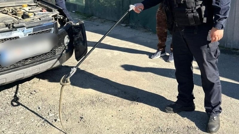 Jandarmii tulceni au intervenit după ce un șarpe a fost observat pe parbrizul unei mașini