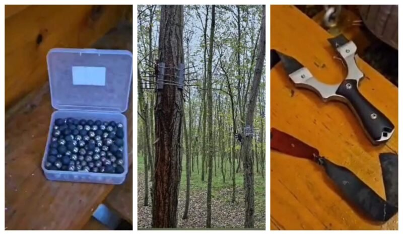 Percheziții la un bărbat din Valu lui Traian. Individul rănea intenționat animalele