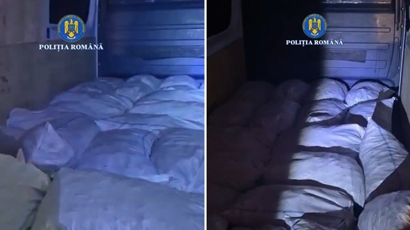 Acțiuni în Delta Dunării! Polițiștii au confiscat 560 kg de raci vii fără documente de proveniență