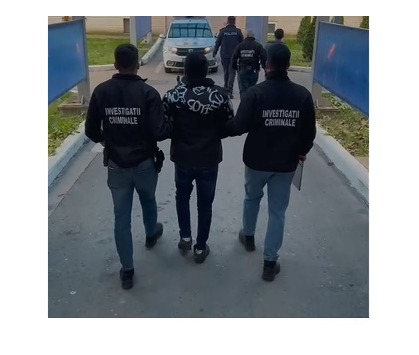 Caz șocant la Năvodari: suspectul acuzat de maltratarea animalelor, reținut pentru 24 de ore