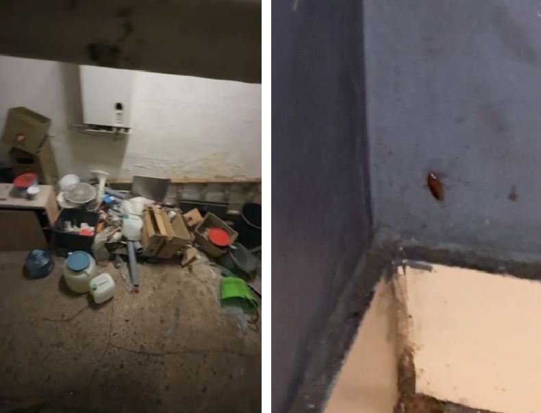 FOTO + VIDEO Gândaci, mucegai și alimente neconforme la Souvlaki Bar din Constanța. Comisarii CJPC au amendat și închis restaurantul