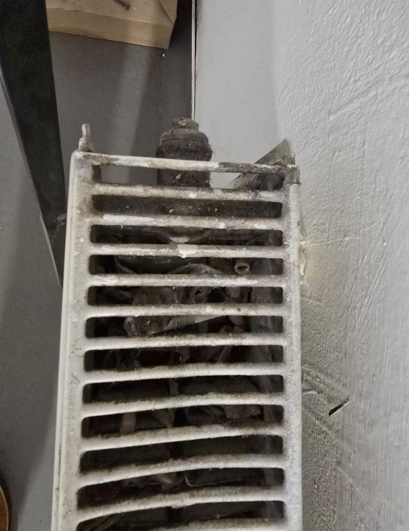 FOTO + VIDEO Mall-urile luate la control: insecte, alimente expirate și ustensile murdare, descoperite de inspectorii ANPC