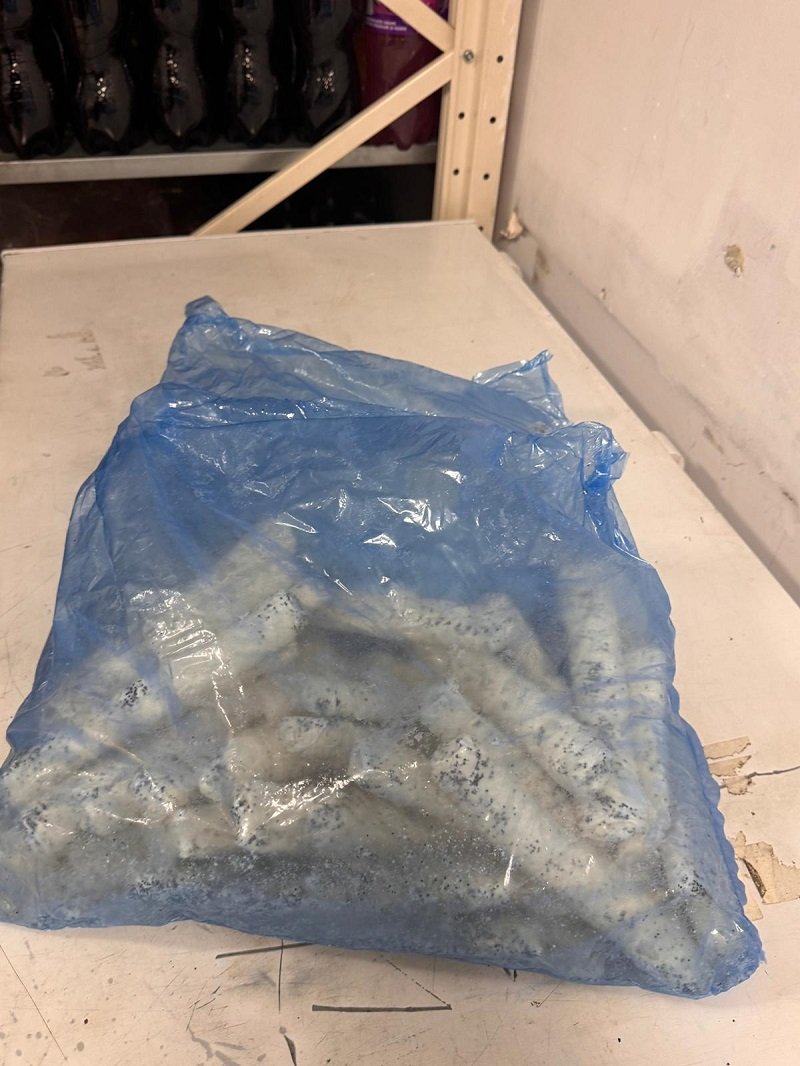 FOTO Carne expirată, insecte și mizerie: ANPC a aplicat amenzi de peste 1,5 milioane de le