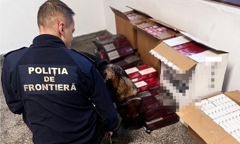 Captură importantă în Portul Constanța. Țigări ascunse, descoperite de polițiștii de frontieră, pe o navă