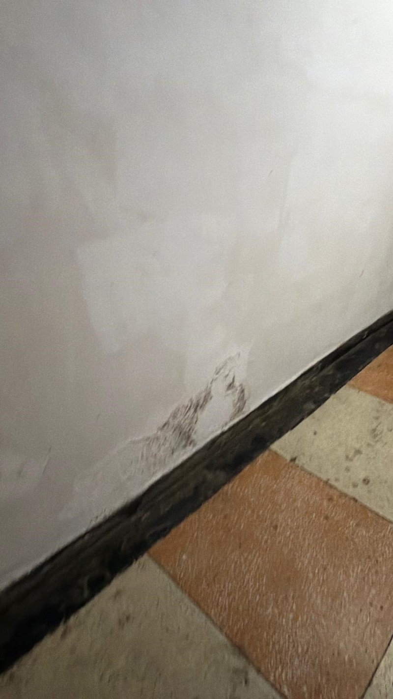 VIDEO + FOTO Condiții dezastruoase descoperite de inspectorii CJPC Constanța la un cămin din zona străzii Caraiman