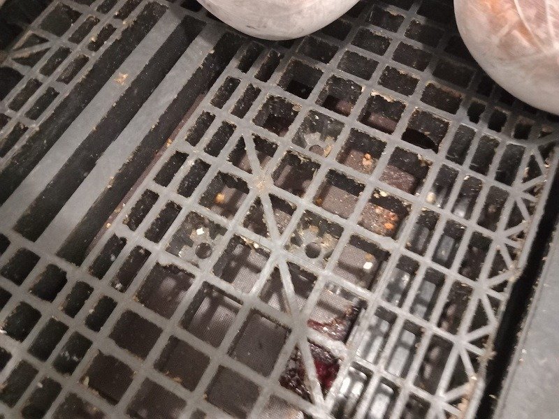 Dezastru în magazine: Ouă crăpate, fructe strivite și echipamente ruginite, descoperite de inspectorii ANPC