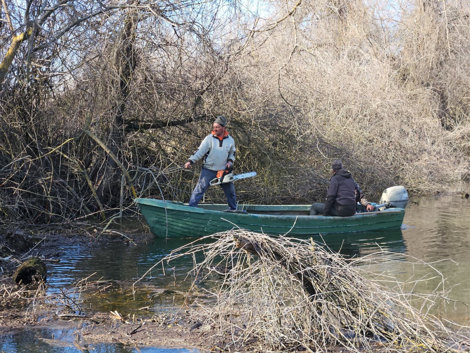 FOTO Curățenie în Delta Dunării: ARBDD scoate lemnul acumulat din canale
