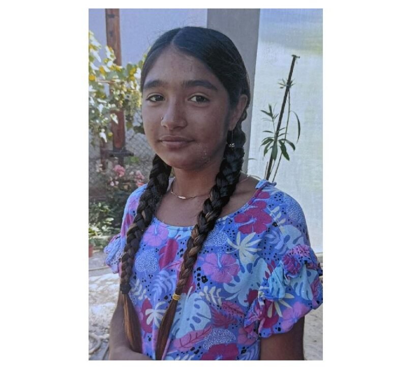 Young girl with two long braids wearing a blue floral dress, standing outdoors near a garden fence.