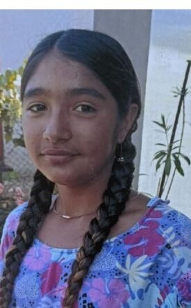 Young girl with two long braids wearing a blue floral dress, standing outdoors near a garden fence.