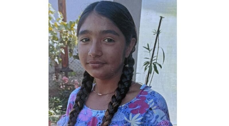 Young girl with two long braids wearing a blue floral dress, standing outdoors near a garden fence.