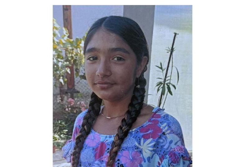 Young girl with two long braids wearing a blue floral dress, standing outdoors near a garden fence.