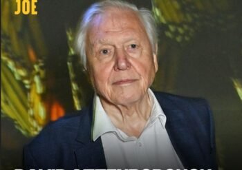 Portrait of David Attenborough in a dark blazer and white shirt, with bold white text reading 'DAVID ATTENBOROUGH' at the bottom and yellow text 'JOE' at top-left against a blurred background.