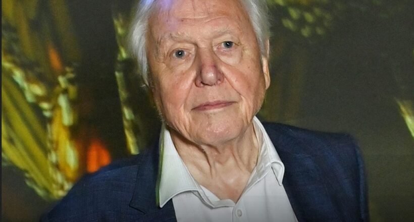 Portrait of David Attenborough in a dark blazer and white shirt, with bold white text reading 'DAVID ATTENBOROUGH' at the bottom and yellow text 'JOE' at top-left against a blurred background.