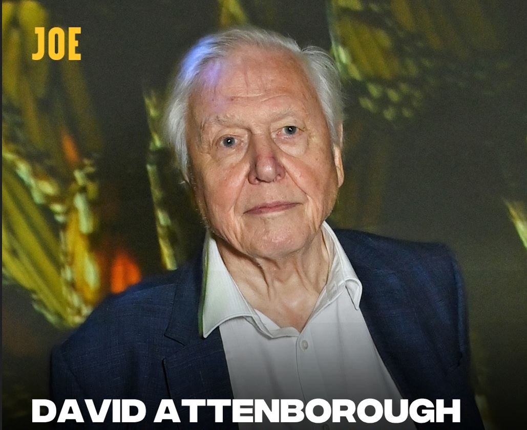 Portrait of David Attenborough in a dark blazer and white shirt, with bold white text reading 'DAVID ATTENBOROUGH' at the bottom and yellow text 'JOE' at top-left against a blurred background.