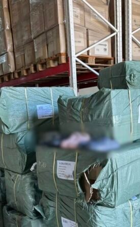 Stacks of green-wrapped bundles on wooden pallets in a warehouse, with a Romanian customs logo visible in the top right corner and labels on the bundles.